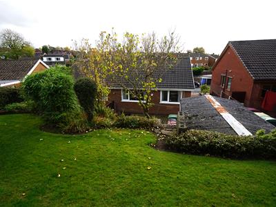 Picture 11